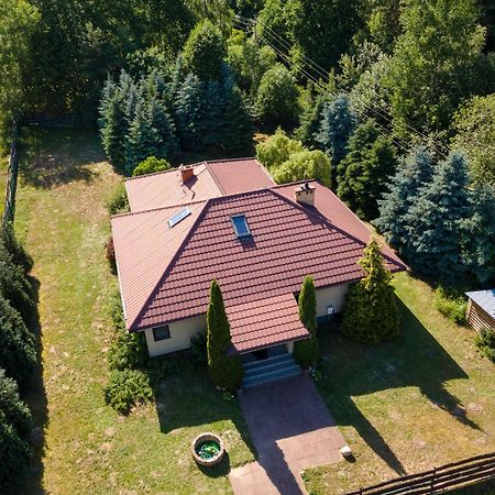 Forest Villa - Pokoje W Poblizu Suntago Krzyzowka  Extérieur photo